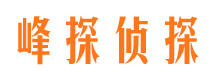 藁城市调查公司